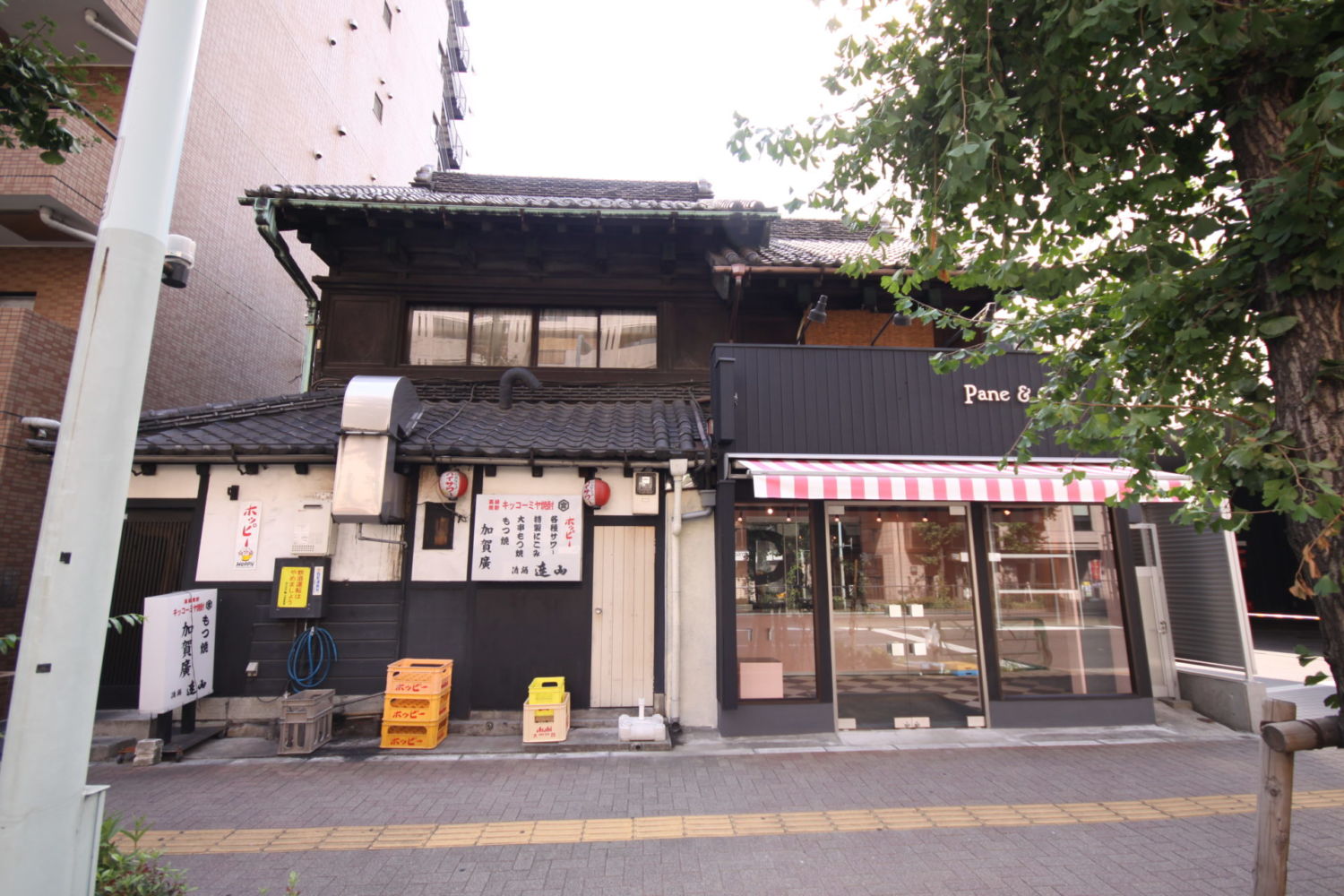 Pane & Olio 施工実績