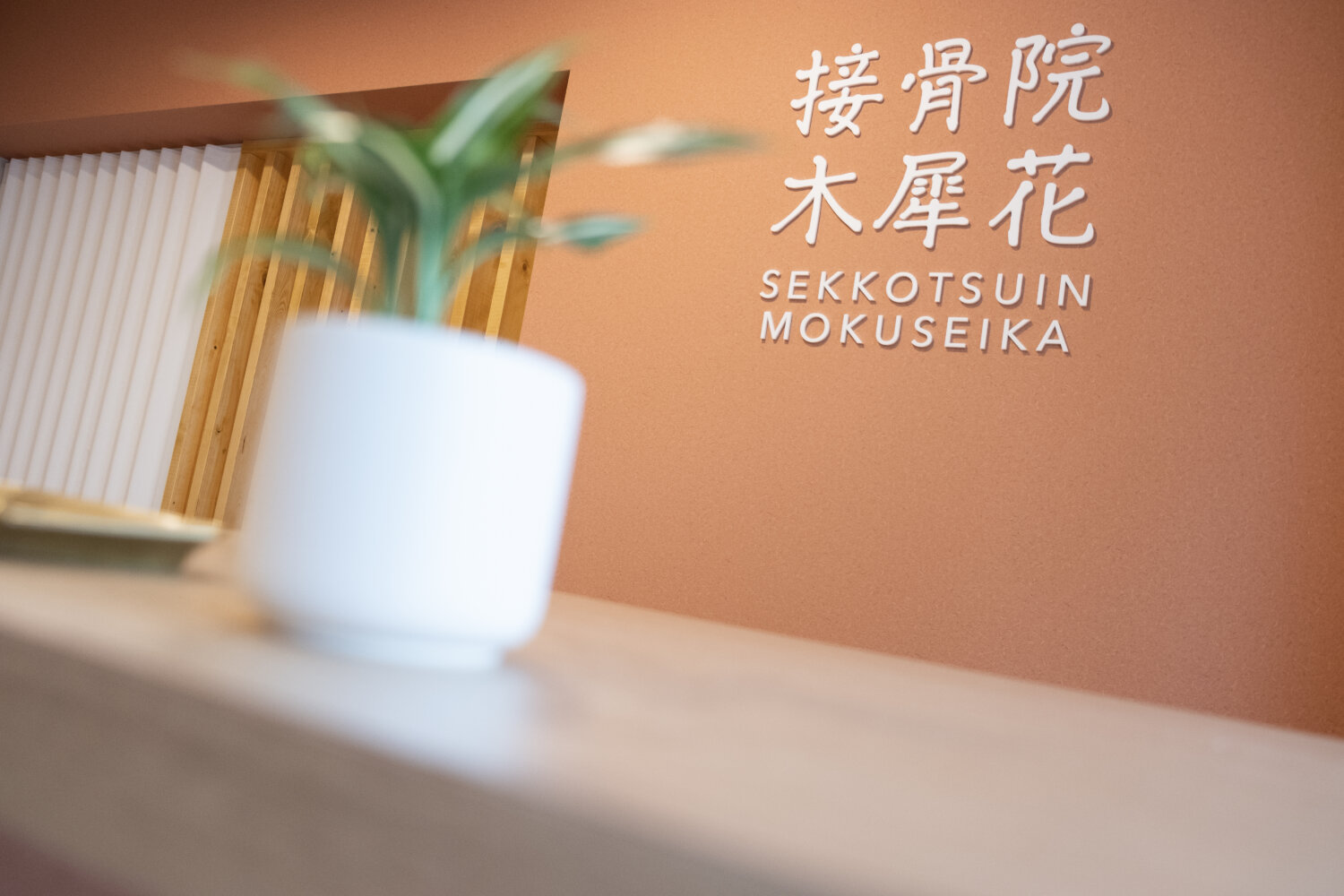接骨院木犀花 施工実績