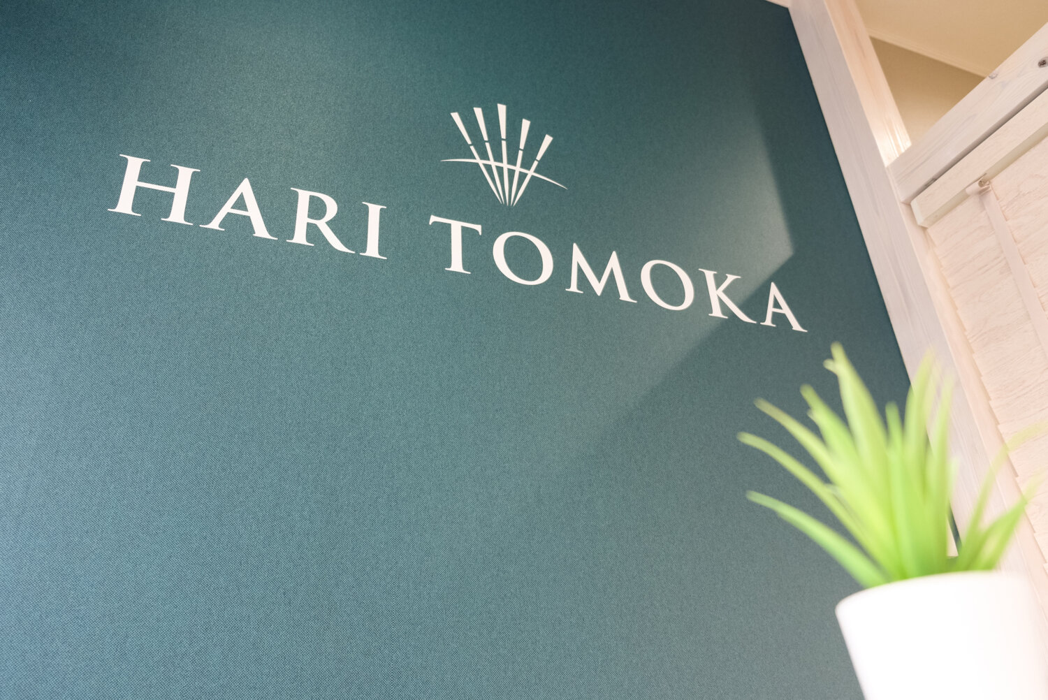 TOMOKA 南浦和サロン 施工実績